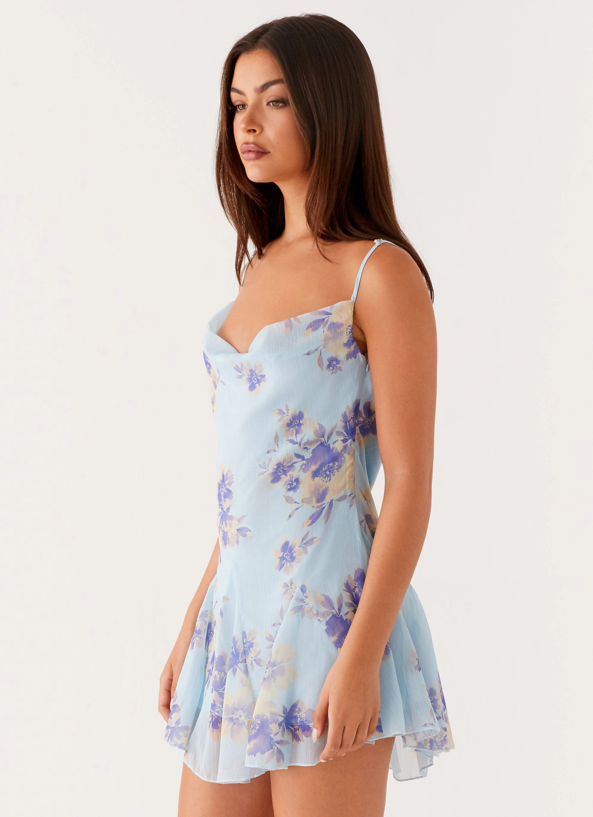 Lined interior Austen Mini Dress - Print