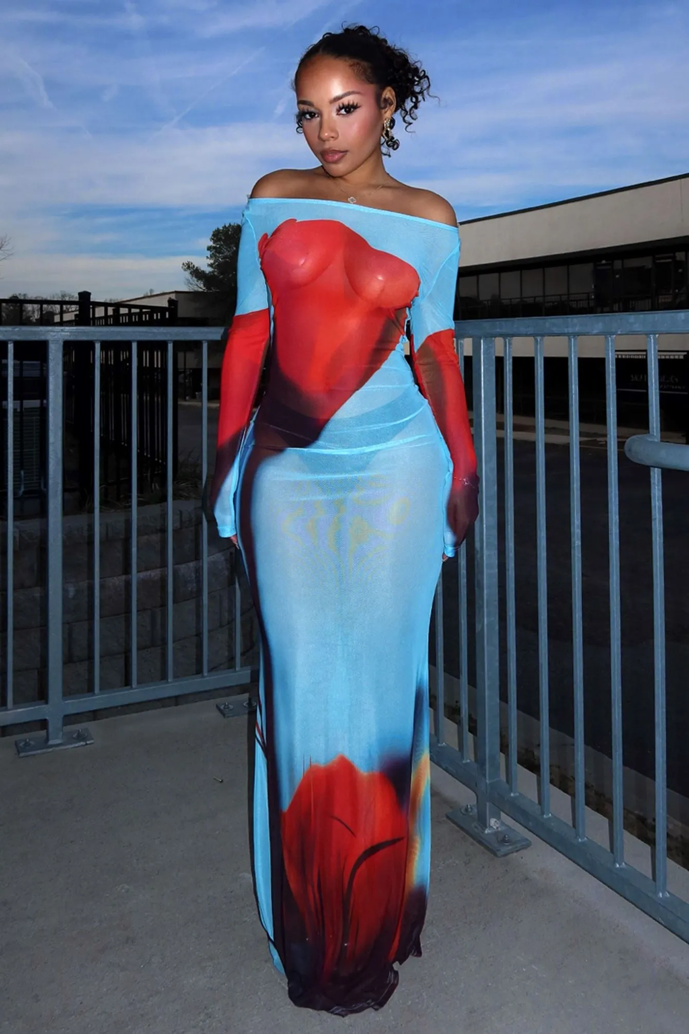 Clean Vibe La Rose Maxi Print Mesh Dress