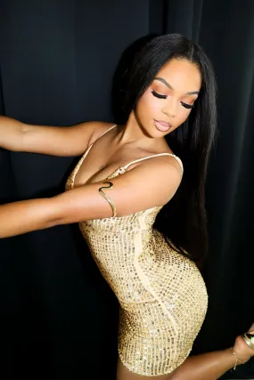 Semi Sheer Dreamy Silhouette Under Selenes Sequin Mini Dress