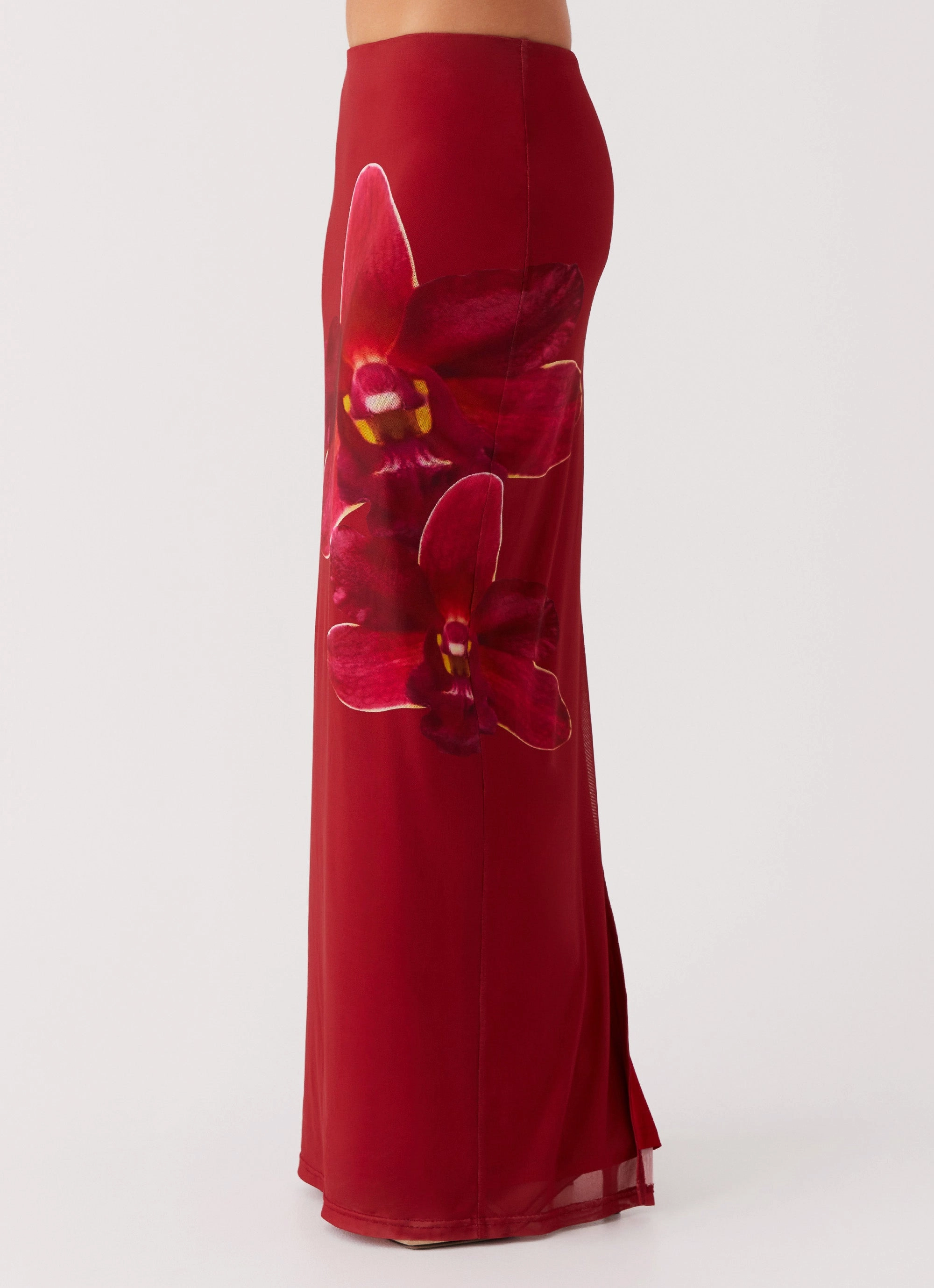 Waiting For Dawn Mesh Maxi Skirt - Rosa Autumn Stroll slim fit