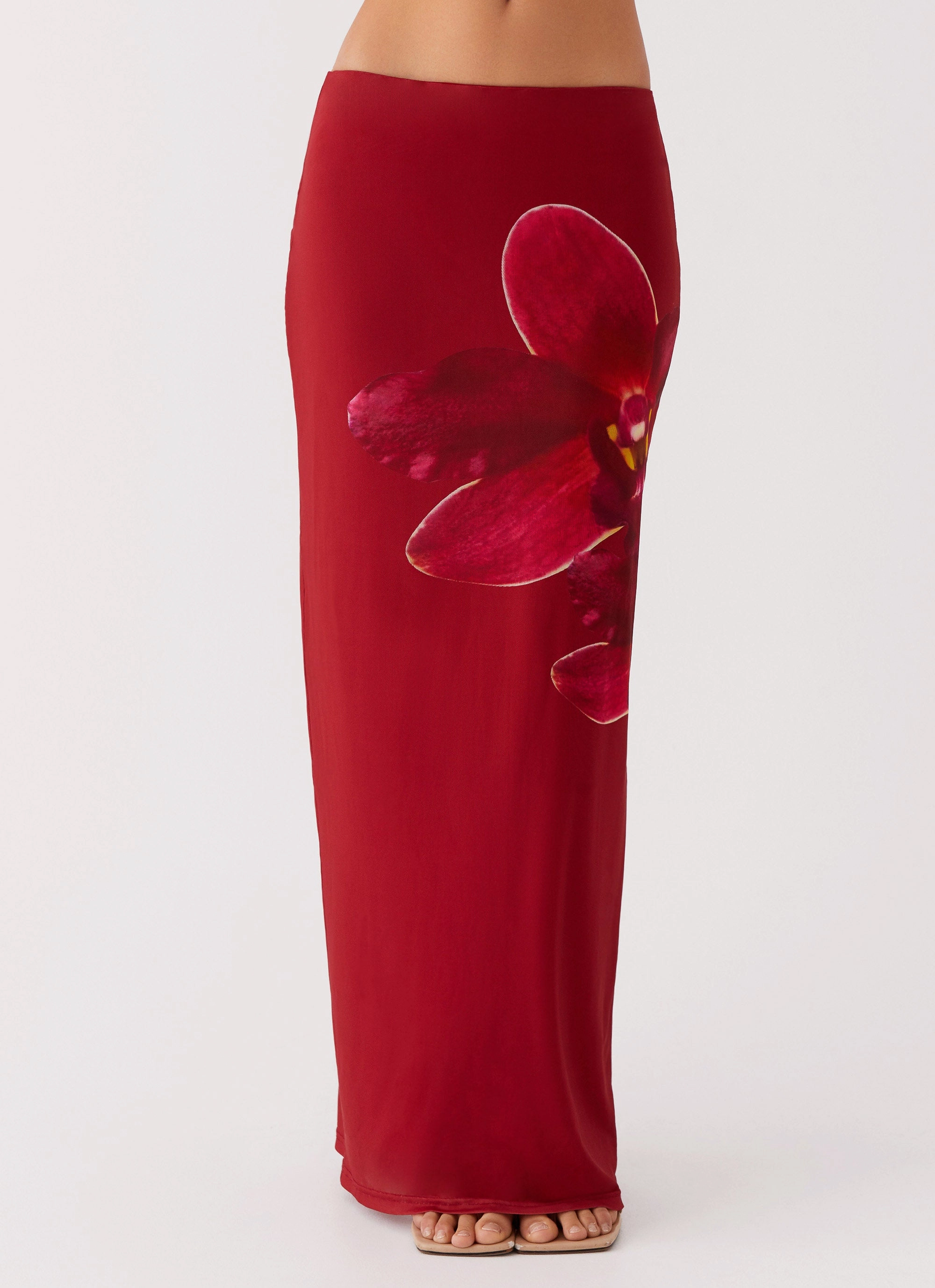 Waiting For Dawn Mesh Maxi Skirt - Rosa Relaxed Feel Double Layer